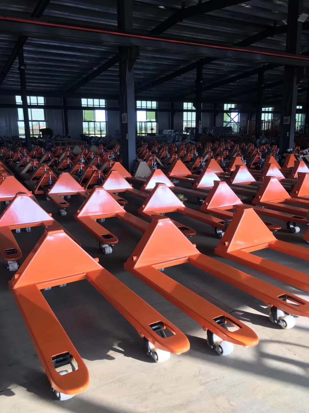 Ręczny wózek paletowy hydrauli – Hand Pallet Truck recenzja i cena